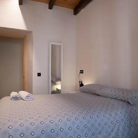 Niu De Queralt Appartement Vic Buitenkant foto